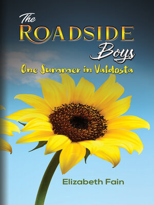 cover image of The Roadside Boys